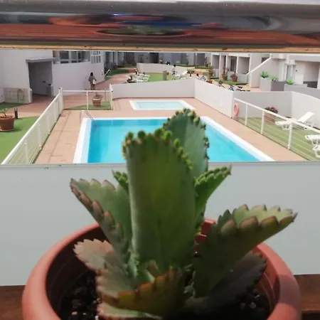 Blue Ocean Corralejo: Sunny Terrace, Pool, Wifi Apartment
